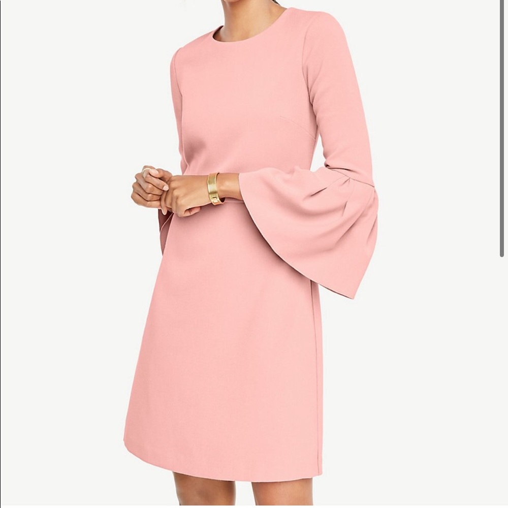 NWOT Ann Taylor Bell Sleeve Dress